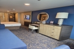 Oceanview Stateroom Cabin 10108. Picture