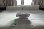 Oceanview Stateroom Cabin 2020. Picture
