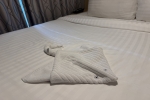 Boardwalk and Central Park Balcony Stateroom Cabin 10181. Picture