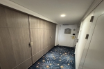 Deluxe Verandah Stateroom Picture