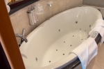 Royal Suite Stateroom Cabin 1620. Picture