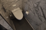 Forward-Facing Deluxe Penthouse Stateroom Picture