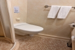 Interior Stateroom Cabin 7353. Picture