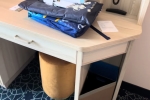 Deluxe Verandah Stateroom Picture