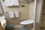 Atrium Promenade View Stateroom Cabin 8253. Picture