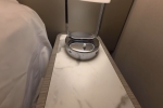 Inside Stateroom Cabin 10133. Picture