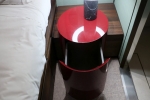 Haven Penthouse Stateroom Picture