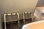 Medallion Stateroom Cabin 9095. Picture