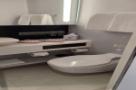 Sea Terrace Stateroom Picture