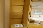 Promenade View Interior Stateroom Picture