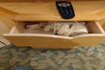 Promenade View Interior Stateroom Picture