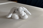 Owners Suite Stateroom Cabin 1562. Picture