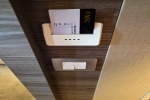 Infinite Ocean View Stateroom Picture