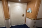 Oceanview Stateroom Cabin 8216. Picture