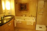 Owners Suite Stateroom Picture
