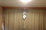 Spacious Balcony Stateroom Picture