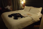 Family Verandah Stateroom Picture