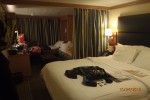 Family Verandah Stateroom Picture