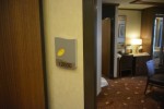 Deluxe Owner Suite Stateroom Picture