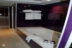 The Haven Deluxe Owners Suite Stateroom Picture