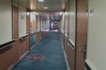 Interior Stateroom Picture