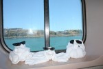 Oceanview Stateroom Picture