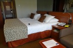 Verandah Stateroom Picture