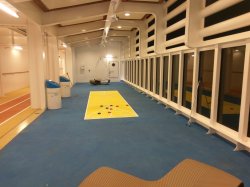 Symphony of the Seas Running Track picture