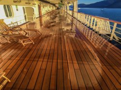 Zaandam Promenade Deck picture