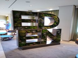 Celebrity Edge Eden picture