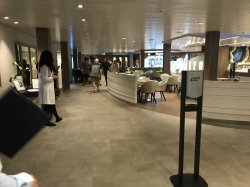 Symphony of the Seas Vitality Cafe picture