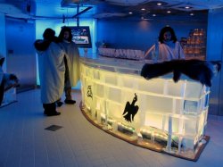 Norwegian Epic Ice Bar picture