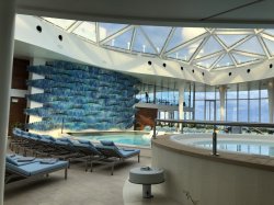 Celebrity Edge Solarium picture