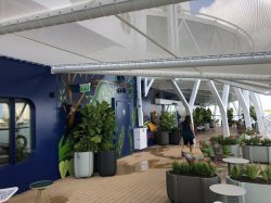 Celebrity Edge Eden picture