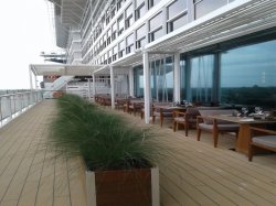 Celebrity Edge Fine Cut Steakhouse picture