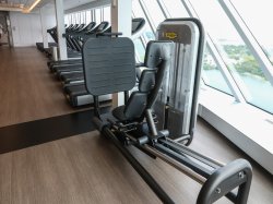 Celebrity Edge Fitness Center picture