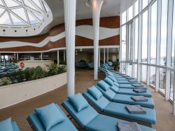 Celebrity Edge Solarium picture