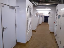 Nieuw Statendam Promenade Deck picture