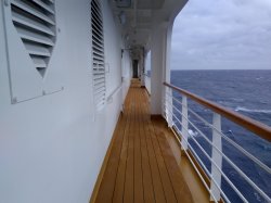 Nieuw Statendam Promenade Deck picture