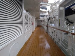 Nieuw Statendam Promenade Deck picture