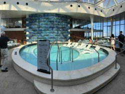 Celebrity Edge Solarium picture