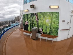 Majestic Princess Jogging Track picture