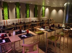 Adventure of the Seas Izumi picture