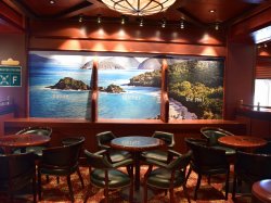 Caribbean Princess Club Fusion picture