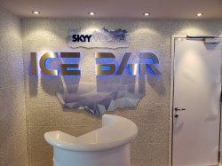 Ice Bar picture