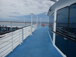 Insignia Jogging Track picture