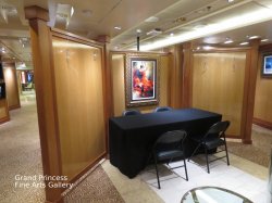 Grand Princess Art Gallery picture