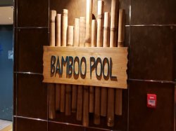 MSC Meraviglia Bamboo Pool picture