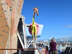 Rock Climbing Wall picture