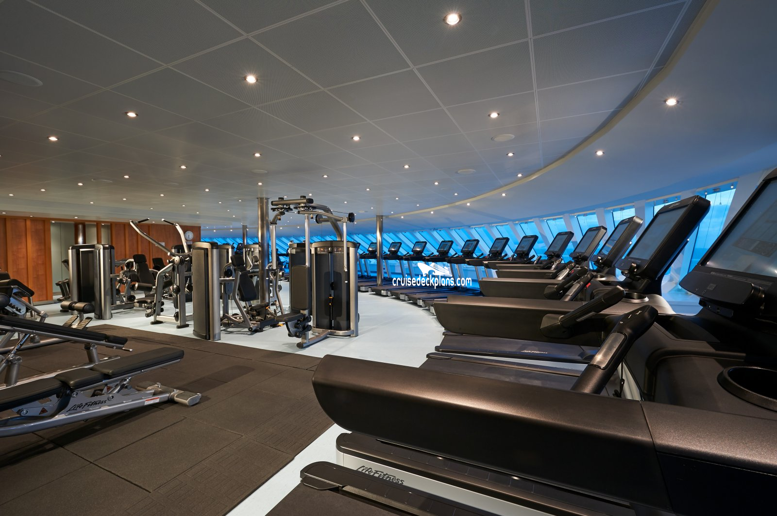 Fitness Center on Carnival Valor - Picture of Carnival Valor